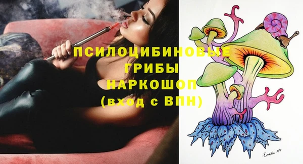 дмт Арсеньев