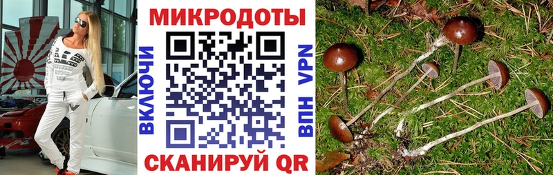 Псилоцибиновые грибы MAGIC MUSHROOMS Новосиль